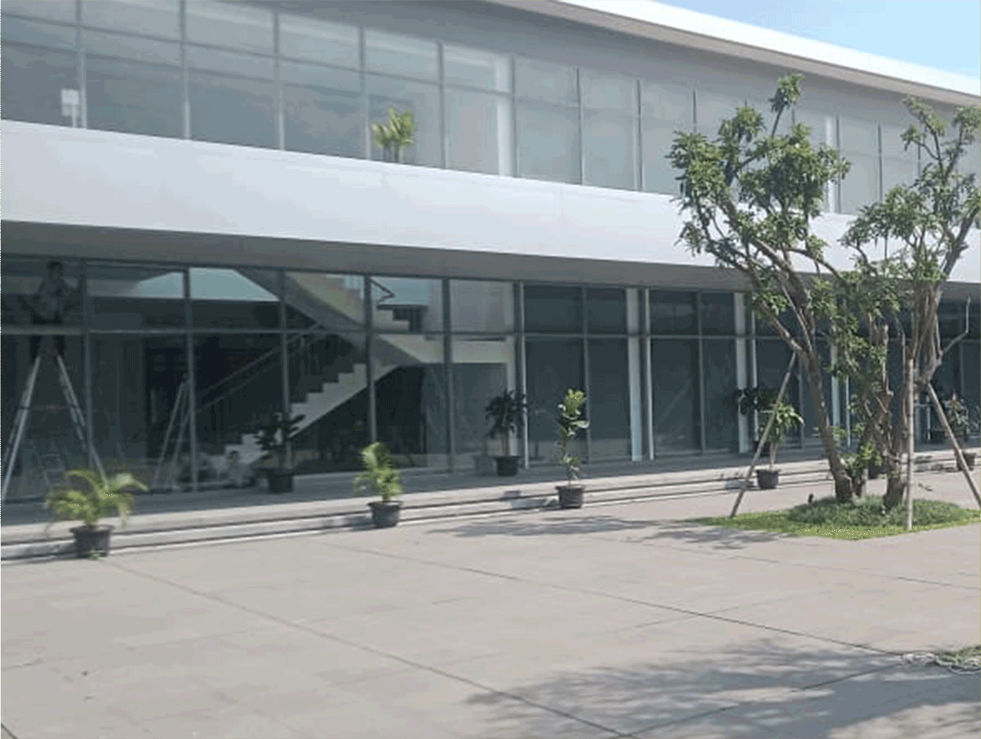 Curtain Wall
